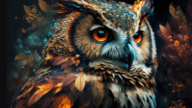 Wallpaper:5f1lghrvpyc= Owl