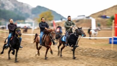 competitive landscape analysis review