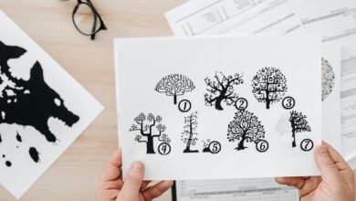 numeric behavior analysis overview